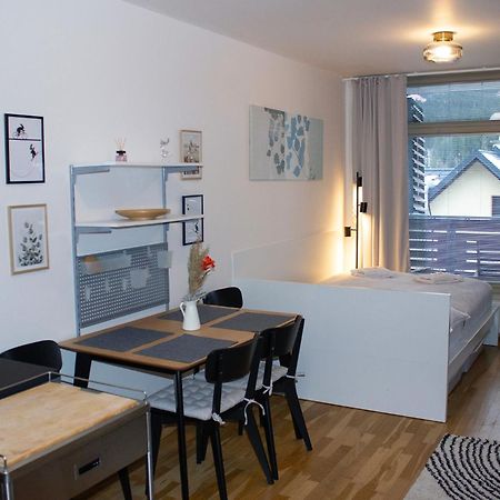 Enjoyharrachov - Atraktivni Slunne Studio Certovka V Centru Harrachova S Garazovym Parkovanim, Wifi-Wlan, Sat, Herni Konzoli, Netflix Zdarma A Nejkrasnejsim Vyhledem Na Certovu Horu S Arealem Skokanskych Mustku A Sjezdovku Zewnętrze zdjęcie