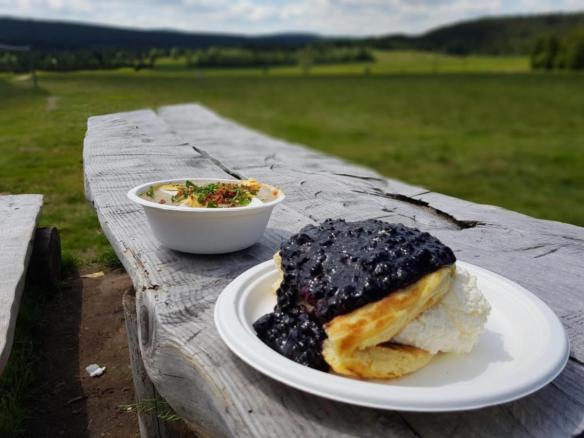 Enjoyharrachov - Atraktivni Slunne Studio Certovka V Centru Harrachova S Garazovym Parkovanim, Wifi-Wlan, Sat, Herni Konzoli, Netflix Zdarma A Nejkrasnejsim Vyhledem Na Certovu Horu S Arealem Skokanskych Mustku A Sjezdovku Zewnętrze zdjęcie