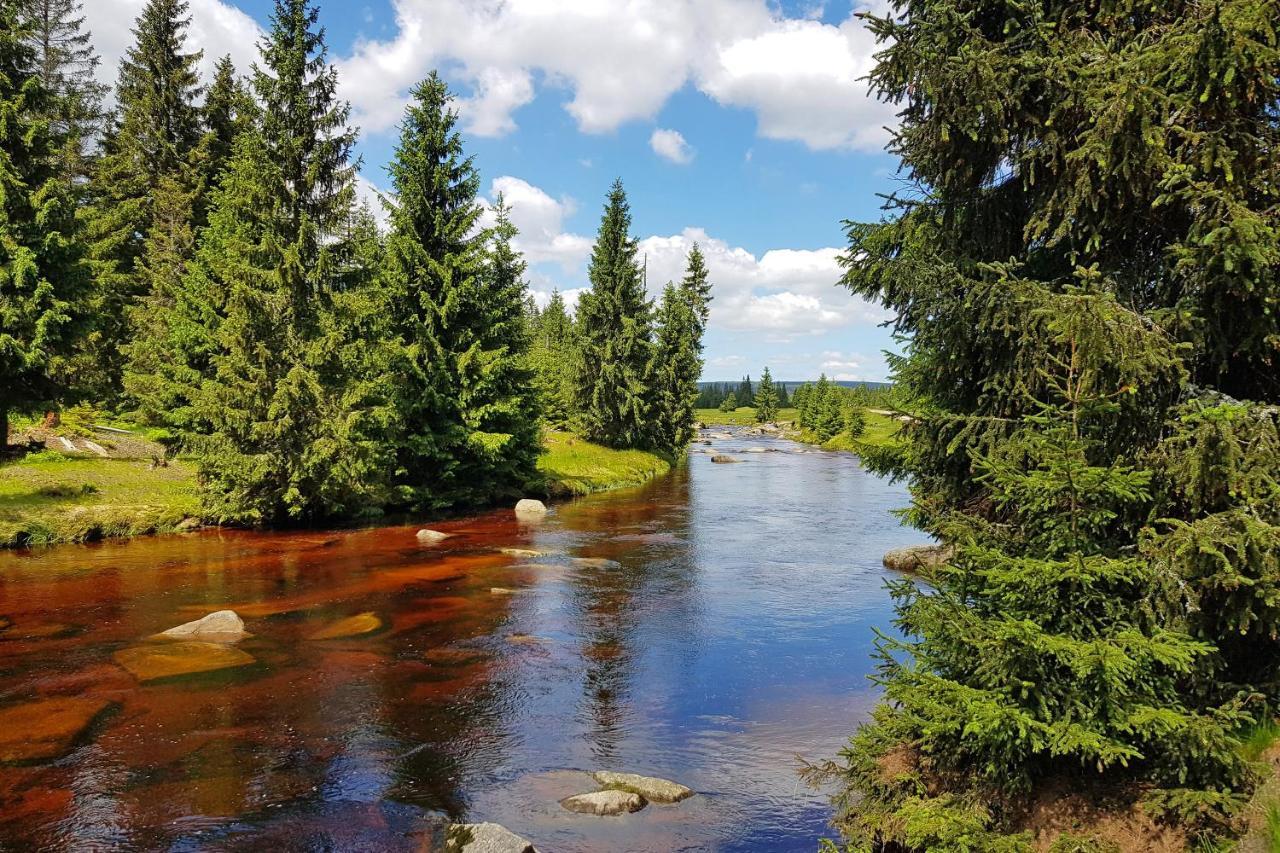 Enjoyharrachov - Atraktivni Slunne Studio Certovka V Centru Harrachova S Garazovym Parkovanim, Wifi-Wlan, Sat, Herni Konzoli, Netflix Zdarma A Nejkrasnejsim Vyhledem Na Certovu Horu S Arealem Skokanskych Mustku A Sjezdovku Zewnętrze zdjęcie